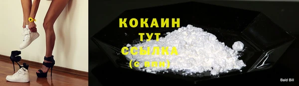 стаф Вяземский