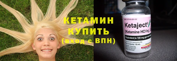 стаф Вяземский