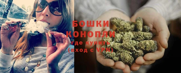стаф Вяземский