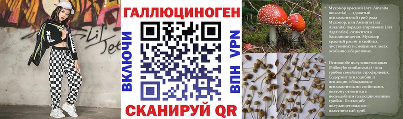 blacksprut зеркало Шахты Псилоцибиновые грибы Magic Shrooms